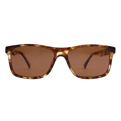 China Driving UV Protection Sunglasses , Handcrafted Acetate Frame Sunglasses for sale