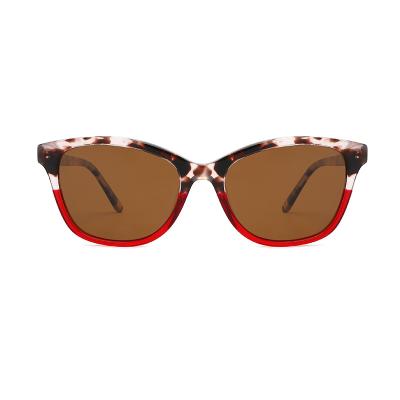 China Peso ligero del color del marco UV400 Cat Eye Women Sunglasses Double del acetato en venta