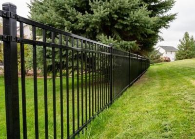 China Security Decorative Architecture Wrought Iron Steel Fence For Garden for sale
