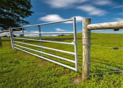 China ISO-2001 Anticorrosive Agricultural 12ft Galvanised Field Gate With Hinge for sale