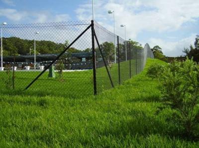 China Black Galvanized 3.0m Height Steel Chain Link Fencing 50mm Pitch for sale