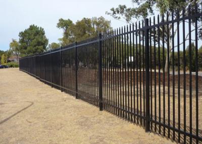 China 6ftx8ft Steel Tubular Fencing for sale
