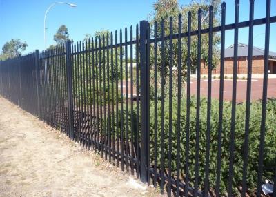 China Black Decorative Home Garden Ornamental Wrought Iron Metal Fence 2.4m Height for sale