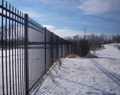 Chine la poudre de 2.1x2.4m a enduit la clôture passée par ce For High Security de fer travaillé à vendre