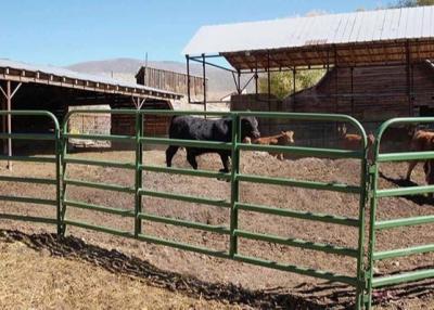 Chine la haute de 5ft de le long corral portatif de cheval de 12ft lambrisse galvanisé et poudre enduit à vendre