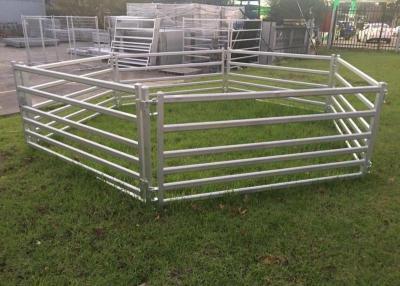 China Galvanised Steel Sheep Odm Heavy Duty Cattle Panel 30mm X 60mm Rail 1.1m X 2.1m 6 Rail for sale
