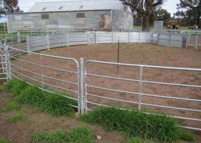 China Cattle 1.12m Height Weld Mesh Sheep Panels Silver Spray Paint for sale