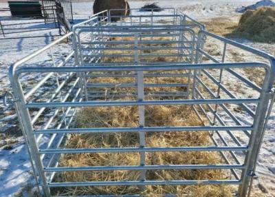 China Los paneles resistentes portátiles del ganado del ganado el 1.6m×2.1m montaron fácilmente en venta