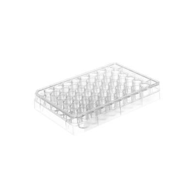 Cina Cell Culture Plates With Treated Culture Surface And Plates 6 12 24 48 And 96 Wells With Flat Bottoms in vendita