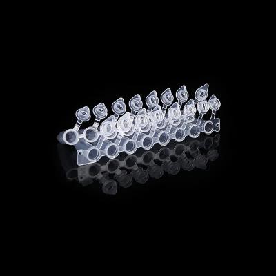 China Dome Shaped Caps 0.2ml PCR Tube 8 Strip With Attached Cap PCR Eight Connected Pipe for sale