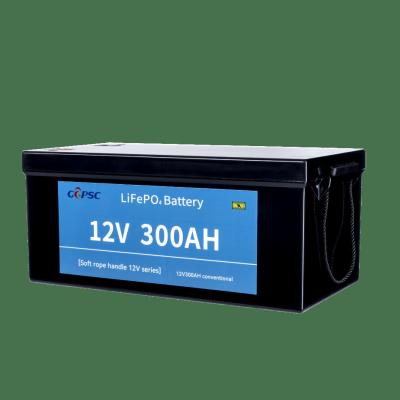 China 2000 Cycles Rechargeable Lifepo4 Deep Cycle Battery Lightweight With Built In BMS for sale