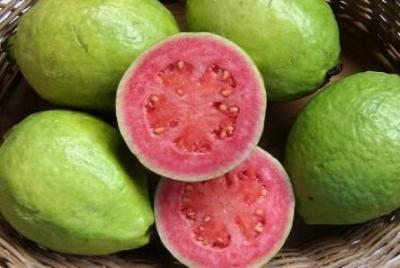 China Guava Extract,Guava Extract powder,Guava Fruit Extract,Guava Leaf Extract,Guaijaverin 10:1 for sale