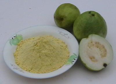 China Guava fruit powder,Guava powder,Guava Extract,Guava Fruit Extract,Guava Leaf Extract, for sale