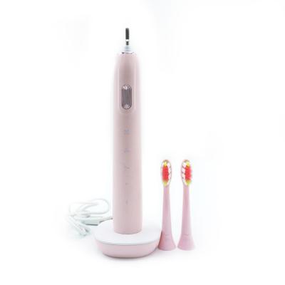 China Oral Hygiene Care Rechargeable Sonic Electric Toothbrush For Adult for sale
