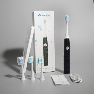 Chine Brosse à dents électrique à piles de MSDS 500mAh avec la minuterie pour des adultes à vendre