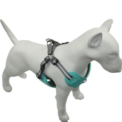 China Xl 2xl 3xl Anti Jump Dog Harness For Nail Trimming Quick Release Buckle Ergonomic Clipping for sale