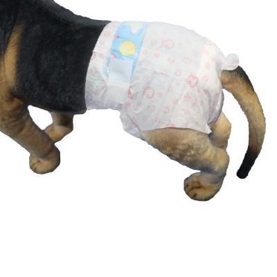 Chine Couche-culotte 100% femelle de chien d'animal familier de coton de taille élastique jetable absorbante superbe de couches-culottes à vendre