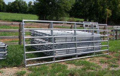 Cina ASTM 2x4 ha galvanizzato il bestiame che recinta il recinto Panels A53-A369 del cavallo in vendita