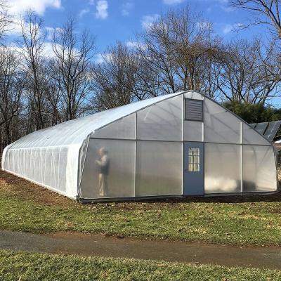 China Agricultural Solar Single-Span Greenhouses Accessories 8*30m The Cheapest  Plastic Film Tunnel Greenhouse for sale