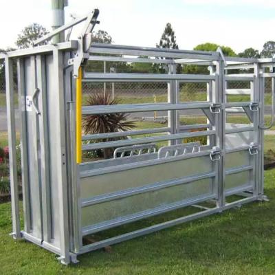 China Cow Ring Hot Galvanized Livestock Fencing Squeeze Chute Hot Dipped for sale