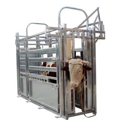 中国 ヘッドロックによって電流を通される家畜の囲うこと 販売のため