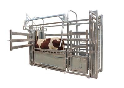 中国 炭素鋼の牛を囲っているOEMの熱い電流を通された家畜はヘッドロックを押しつぶす 販売のため