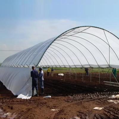 China Blueberry PE Film Poly Tunnel Greenhouse Anti Ultraviolet for sale