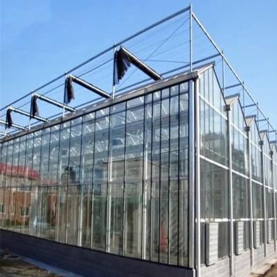 中国 Cooling Pad Commercial Glasshouse Window Galvanized Steel Greenhouse 販売のため