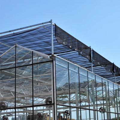 China Agricultural Venlo Glass Greenhouse Vegetable Hydroponic System Venlo Roof Glasshouse for sale