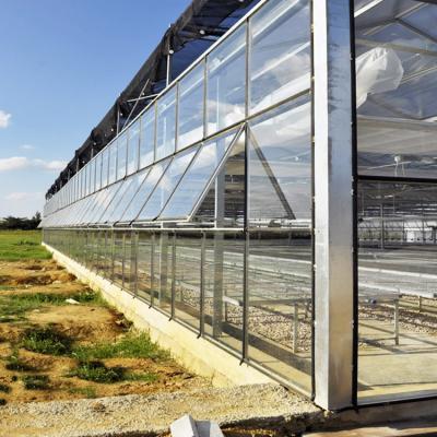 China Luxury Greenhouse Glass Full Auto High Tech Glasshouse Multispan Green House Attached Even Span en venta