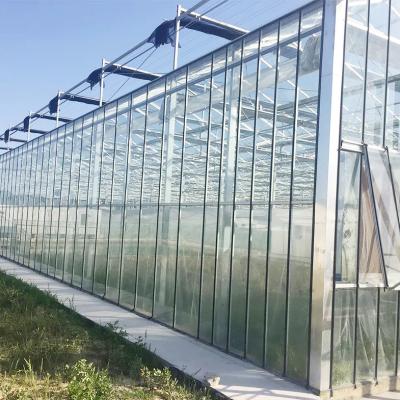 China Garden Multi Span Agricultural Greenhouses Large Commercial Greenhouse 4 Shelves for sale