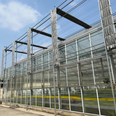 China Venlo Double Roof Huge Green House 6' X 8' X 8' 2 Doors Glass Green Houses for sale