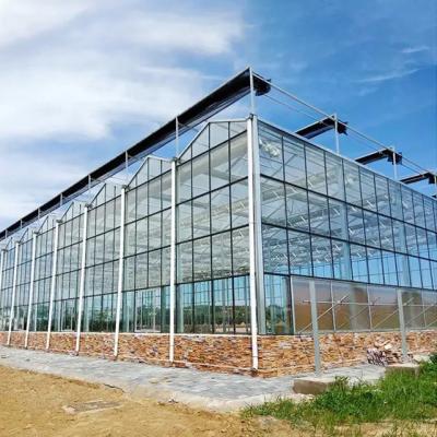 China Fruits Flowers Multispan Greenhouse Structure Modern Glass Greenhouses for sale