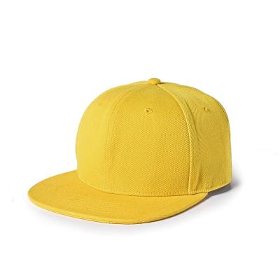 China Embroidery Printing Logo New Era Snapback Caps 54cm For Kids for sale