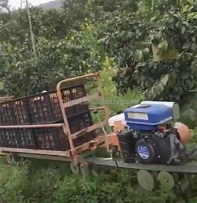 China transportador agrícola do trilho do monotrilho da inclinação íngreme em linha à venda
