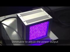 OEM 300W UV LED for Air cooling UV LED Curing