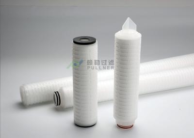 China 0.22um Pharma Filters PES Pleated Filter Element High Purity Water Rinse for sale