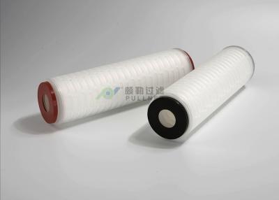 China Nylon Micro Pleated Membrane Filter Cartridge Pharmaceuticals 0.22um 10