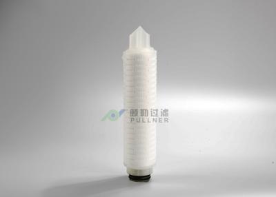 China Hydrophobic Membrane Pharmaceutical Filters 10
