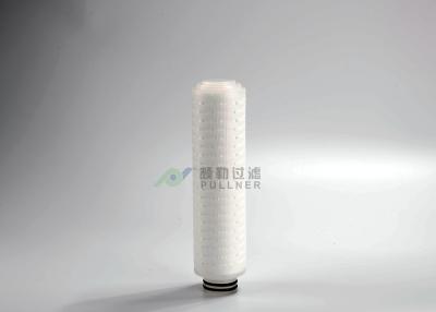 China Filter FDAs PTFE Abbau-Bewertung Cartridfe 0.22um absolute Filtrations-0.01um 0.02um zu verkaufen