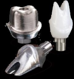 Cina Implantazione dentale in titanio corona di precisione abutment di impianto di zirconia personalizzato in vendita