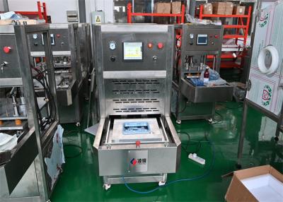 China Sterile Medical Heat Sealer Machine for PET PVC Tyvek Pouch Packaging for sale