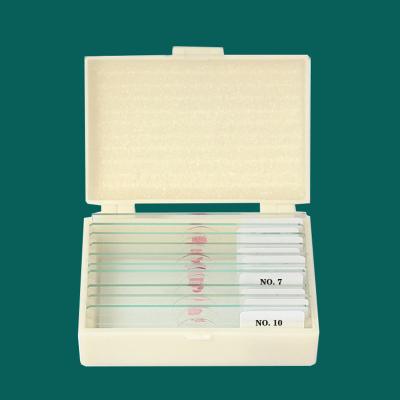China Medical Research Used Microbiology Amoeba Prepared Glass Microscope Slides For Teaching for sale