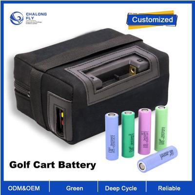 Cina OEM ODM LiFePO4 batteria al litio con batteria per carrello da golf EV 48v 100ah 200ah carrello da golf auto club 48v 100ah batteria in vendita