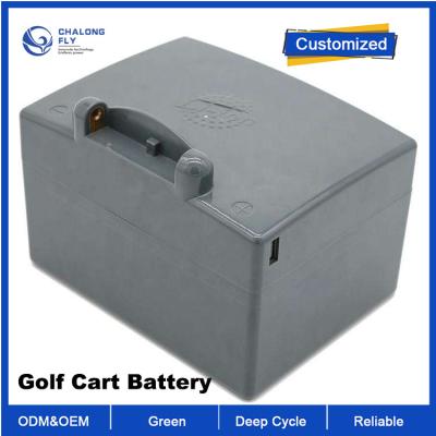 Chine OEM ODM LiFePO4 batterie au lithium charrette de golf EV lifepo4 batterie voiture de club de golf 48v 100ah 200ah batterie à vendre