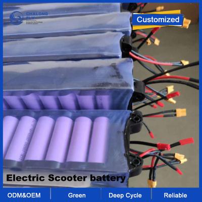 China OEM ODM LiFePO4 bateria de lítio pacote Bateria de scooter elétrico China Fabricante 48V 36V 24V com diferentes capacidades à venda