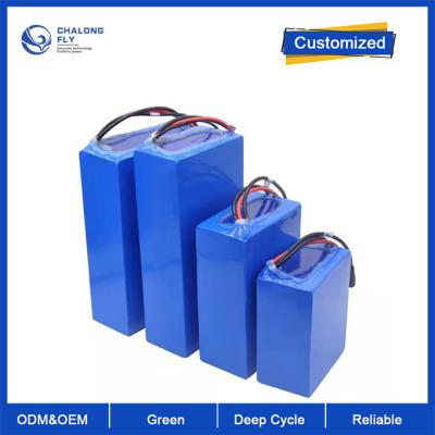 China OEM ODM LiFePO4 lithium battery pack NMC NCM Customized 48V Electric Scooter battery with Any Shape for sale