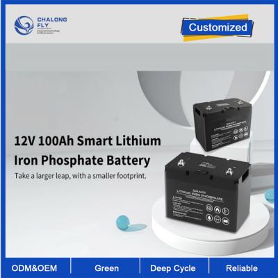 China Lithium-Batterie 12V 100Ah Soem-ODM LiFePO4 Lithium-Batterie-intelligenter tiefer Zyklus fertigte Batterielithium-batterie-Sätze besonders an zu verkaufen