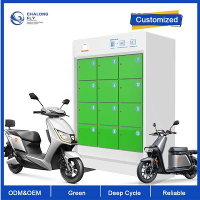 Chine La batterie de chambres de la batterie au lithium d'ODM LiFePO4 d'OEM 5 permutant la station a adapté aux besoins du client à vendre
