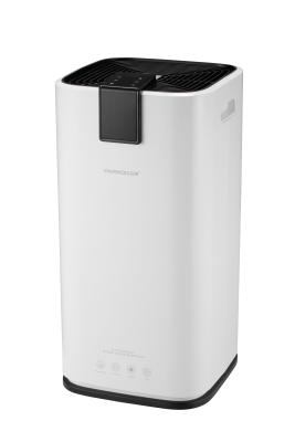 China Domestic 20 Liter House Refrigerative Dehumidifier R290  110m3/h for sale
